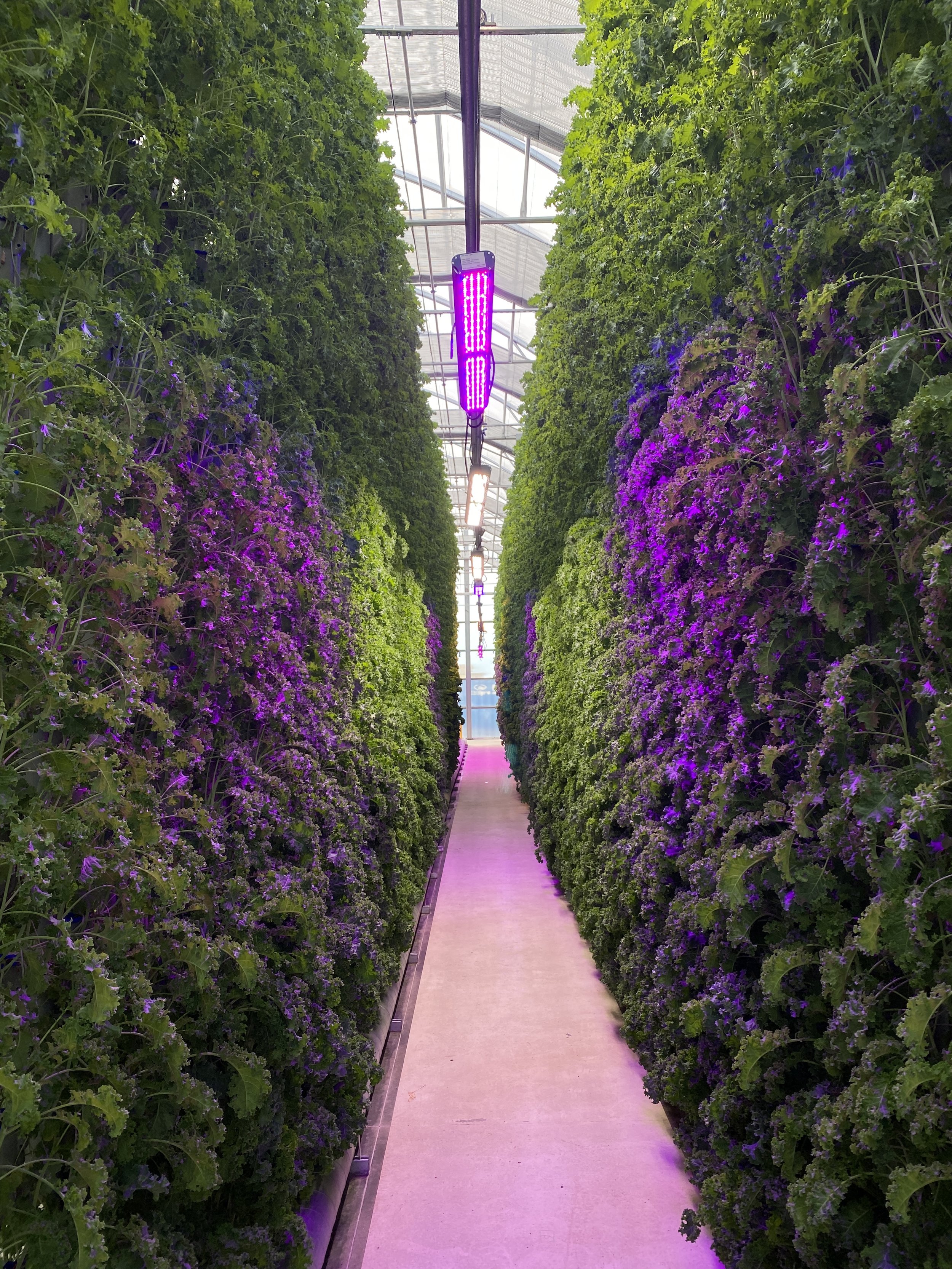 Eden Green's Mobile Light Bar shining on a wall of plants