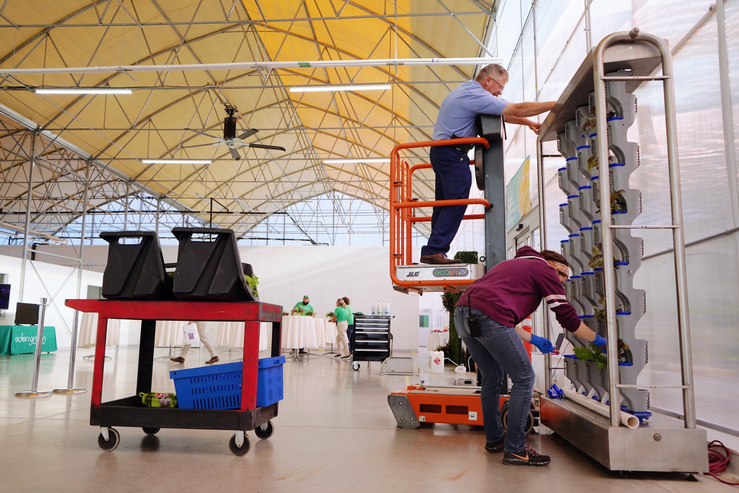 planting hydroponic produce at eden green technology vertical farm grand opening event.jpg