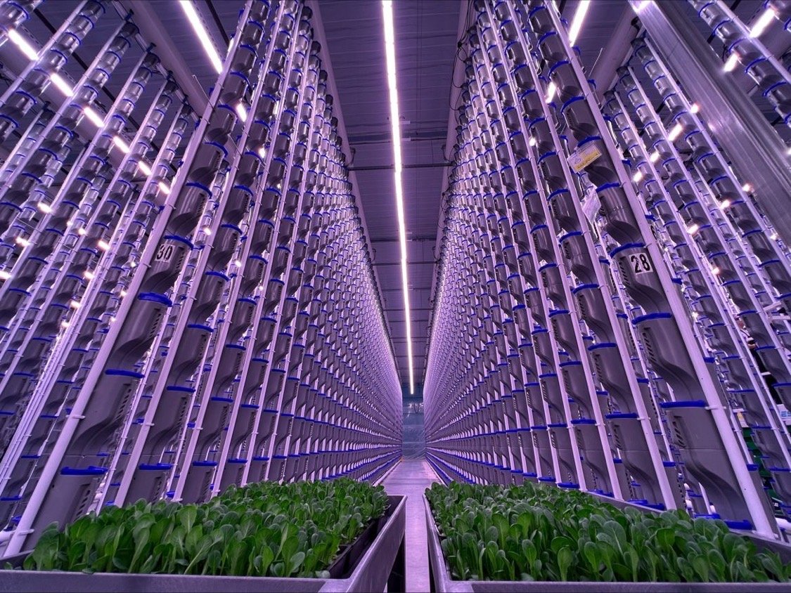 An empty vertical greenhouse, ready to start growing